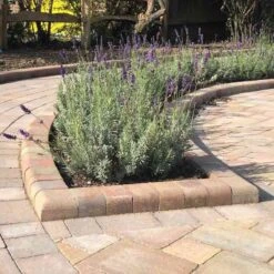 Brett Drivestyle Kerb DK 125x100x125mm - 270 Per Pack - Autumn Gold - DK99AG